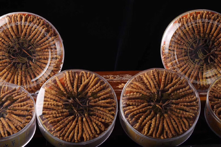 惠城虫草回收每克多少钱