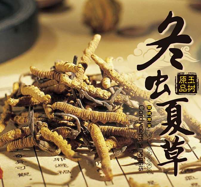咨询:惠城回收冬虫夏草多少钱一克