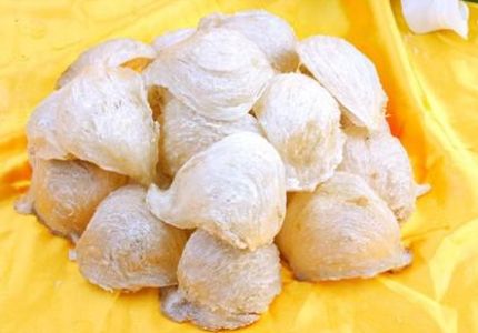 惠阳燕窝回收白燕窝多少钱一克