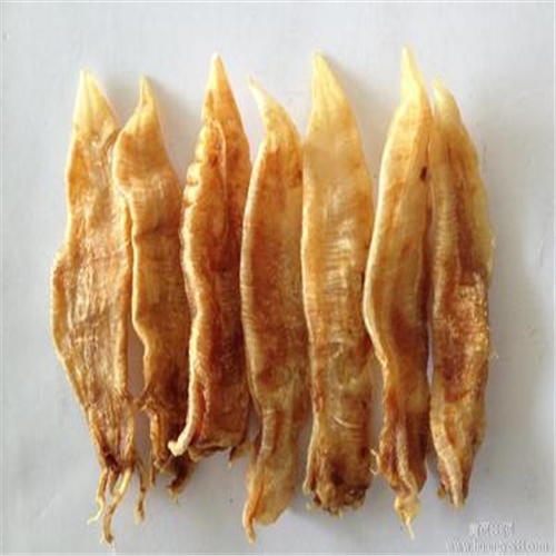 博罗鱼胶回收什么价格