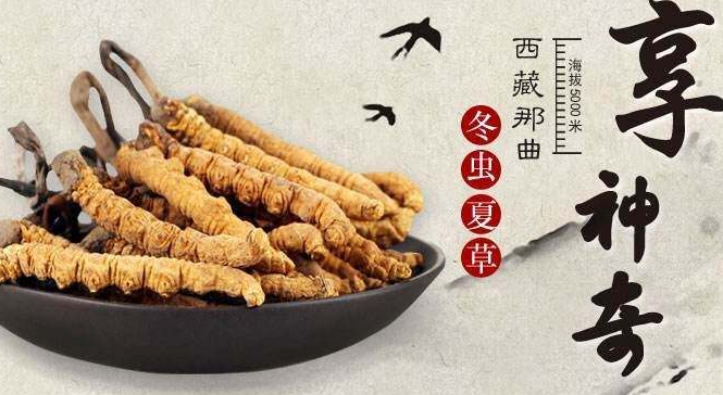 惠阳虫草回收
