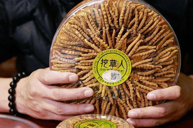 博罗冬虫夏草回收