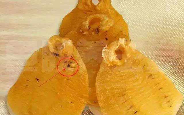 龙门鱼胶回收多少钱一斤