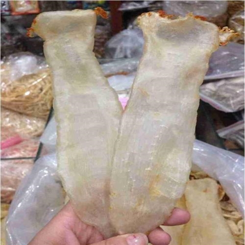龙门鱼胶回收品种