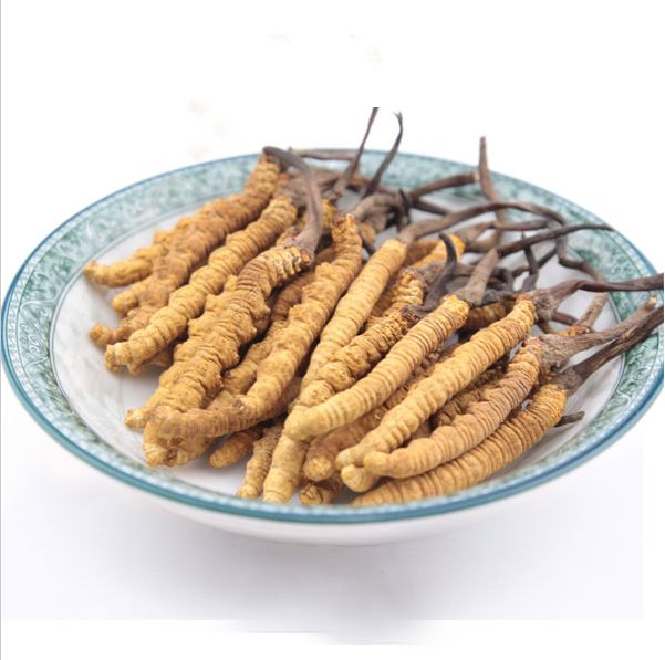 惠城冬虫夏草的回收价格一般多少钱