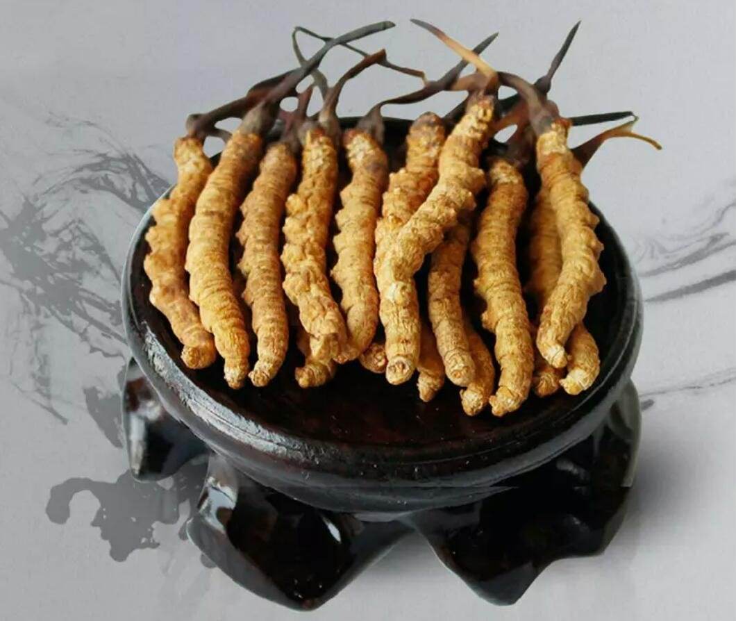问:淡水冬虫夏草回收商家冬虫夏草的营养在根还是草