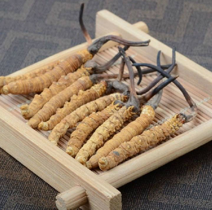 大亚湾不同等级冬虫夏草回收多少钱