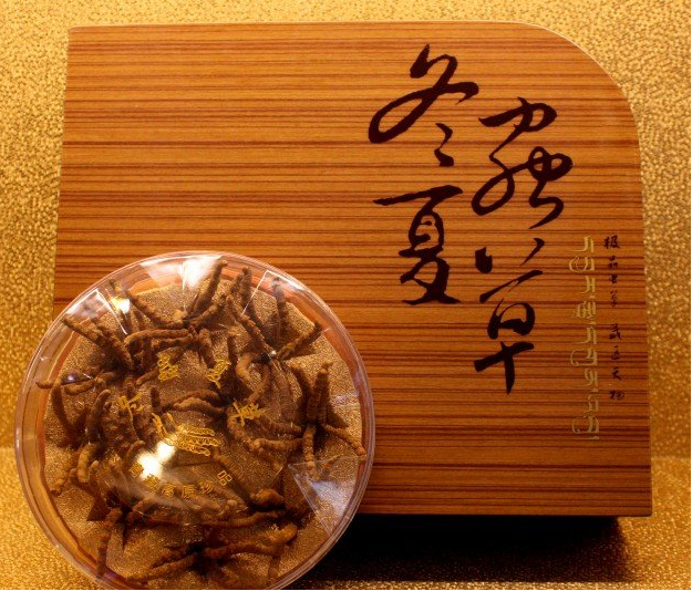 大亚湾发霉虫草回收什么价格