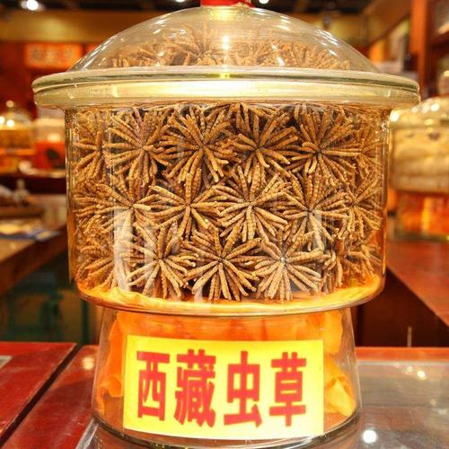惠东虫草回收-惠东回收虫草价格