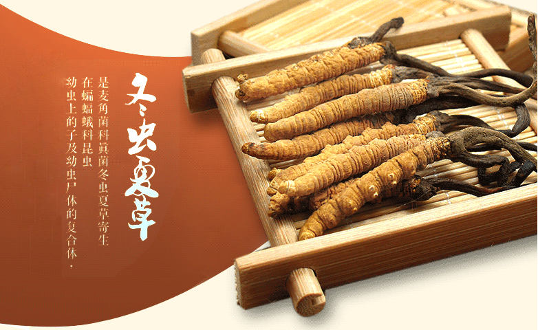惠东虫草回收市场价格一览表