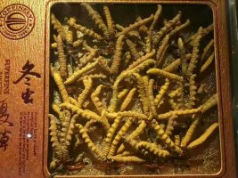 惠阳哪里有收购冬虫夏草店铺-惠阳高价回收虫草商家
