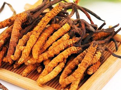惠东回收冬虫夏草详细价格一览表一览表