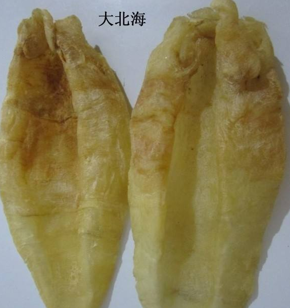 博罗鱼胶回收系列
