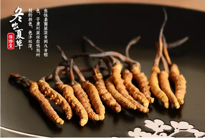 博罗虫草回收价格