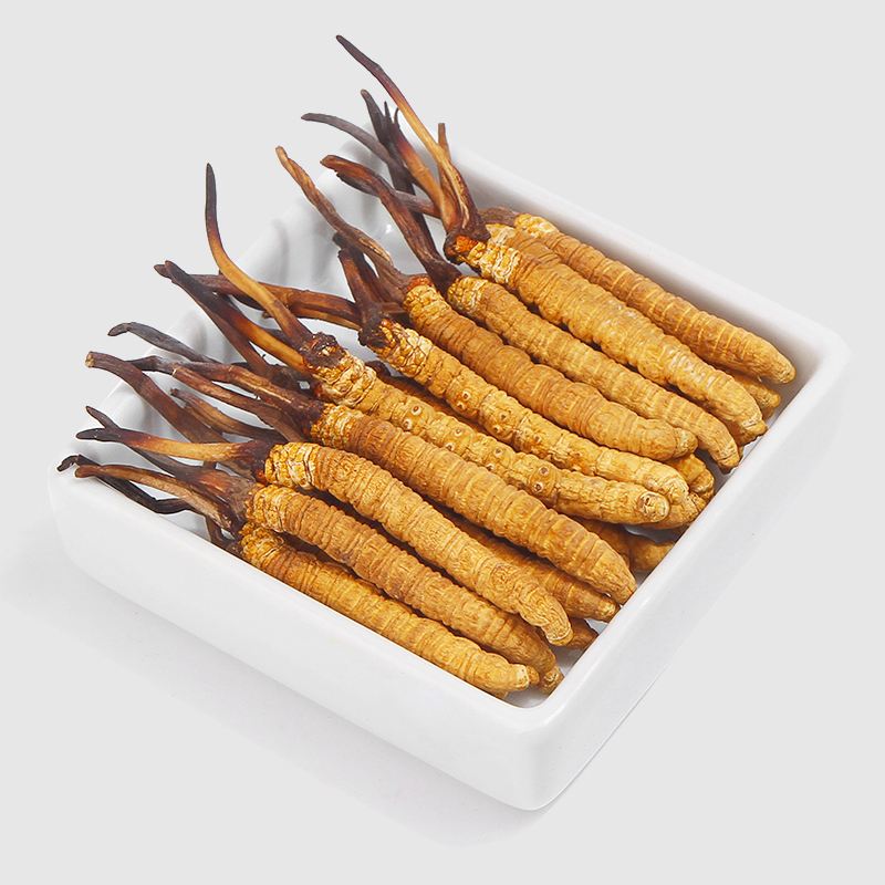 惠州冬虫夏草回收价格计量方式