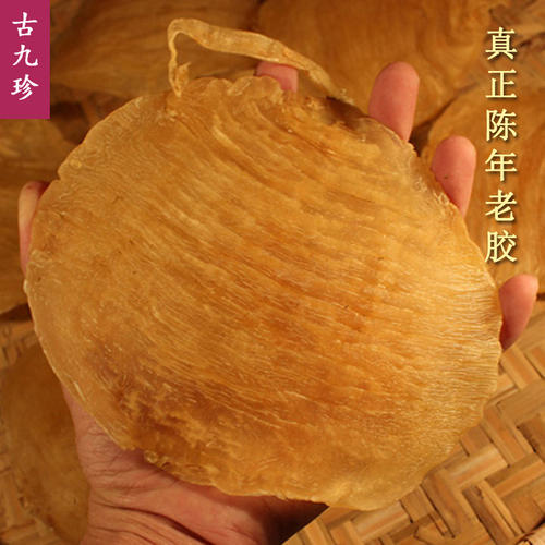 鱼胶市场回收价格龙门鱼胶回收商家调查